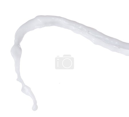 Photo for Milk yogurt white water droplet shape form fly splashing. Milk lotion pour float in mid air. Milk moisturizer explosion throw fluttering. White background isolated high speed shutter freeze motion - Royalty Free Image