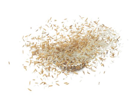Photo for Paddy Rice grain fly in mid air. Yellow Golden Paddy Rice falling scatter, explosion float in shape form line group. White background isolated freeze motion high speed shutter - Royalty Free Image
