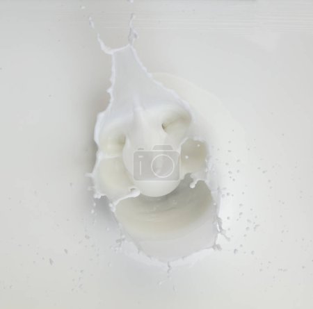 Photo for Cosmetic container white lotion droplet fly splashing. Milk lotion pour float to cosmetic bottle. Moisturizer lotion explosion spill. White background isolated high speed shutter freeze top view - Royalty Free Image