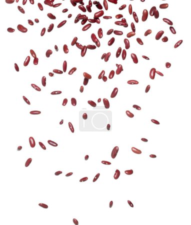 Téléchargez les photos : Explosion volante de haricots rouges, les haricots rouges explosent une mouche abstraite. Belle graine complète haricot de pois éclaboussure dans l'air, conception d'objets alimentaires. Mise au point sélective gel plan fond blanc isolé - en image libre de droit