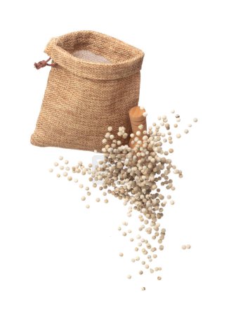 Photo for White Pepper seeds fall down pour in sack bag, white Pepper float explode, abstract cloud fly. Peppercorn splash throwing in Air. White background Isolated high speed shutter, freeze motion - Royalty Free Image