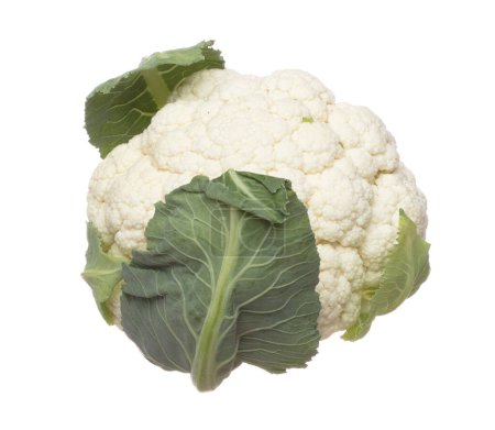 Téléchargez les photos : Cauliflower fly in mid air, green fresh vegetable cauliflower falling. Organic fresh vegetable with eaten leaf of cauliflower, close up texture. White background isolated freeze motion high speed shutter - en image libre de droit