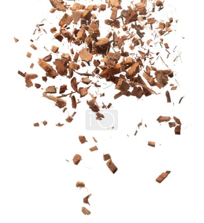 Téléchargez les photos : Coconut peel husk flying explosion, coconut chopped big L size abstract fall down garden. Coconut shell peel fertilizer splash throwing in Air. White background Isolated high speed shutter, freeze - en image libre de droit