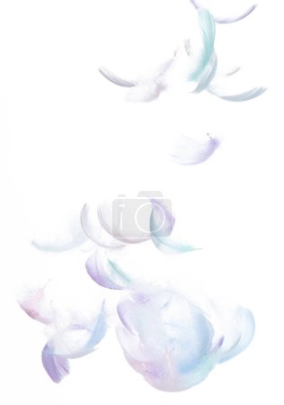 Foto de Muchas plumas de pastel vuelan en el aire sobre fondo blanco aislado. Plumas suaves esponjosas como la pureza suave como paloma flotante del sueño en el cielo. Ángulo volando desde el cielo, movimiento fotográfico - Imagen libre de derechos