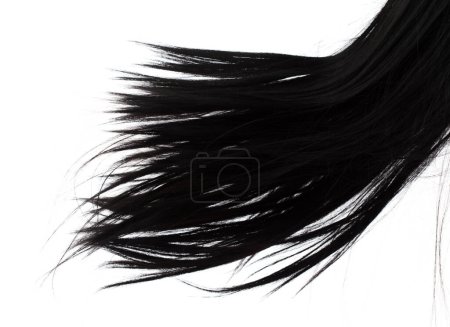 Foto de Largo peluca recta estilo caída de la mosca explosión. Mujer negra peluca ondulación pelo flotar en el aire. Derecho negro rizo peluca pelo viento soplo nube lanzar. Fondo blanco aislado movimiento de congelación de alta velocidad - Imagen libre de derechos