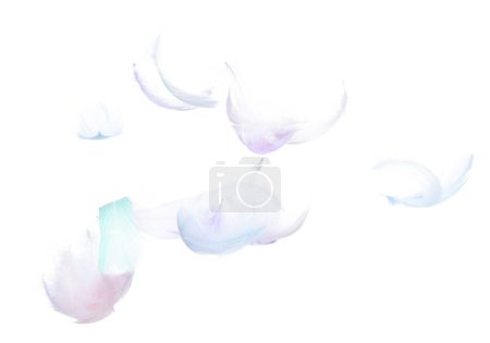 Téléchargez les photos : Beaucoup de plumes pastel tombent dans l'air sur fond blanc isolé. Puffy plumes douces gonflées comme la pureté lisse comme rêve colombe flottante dans le ciel. Angle volant du ciel, mouvement photo - en image libre de droit