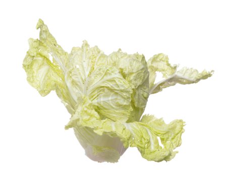 Foto de Chinese Cabbage fly in mid air, green fresh vegetable chinese cabbage falling leaf. Organic fresh vegetable with eaten leaf of chinese cabbage, close up texture. White background isolated freeze - Imagen libre de derechos