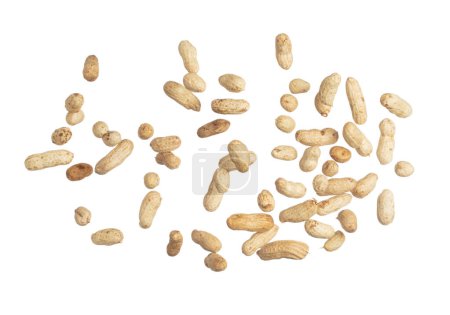 Téléchargez les photos : Boiled peanut fly explosion, boiled peanut bean fall down pour. Tropical boiled peanut throw in air. White background Isolated high speed shutter, freeze action - en image libre de droit