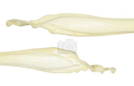 Photo for Tofu Soybean soymilk pour fall down in line shape form. Soybean milk from tofu spill splash in droplet as paint color. White background isolated high speed shutter freeze motion - Royalty Free Image