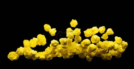 Photo for Yellow small Rose Flower explosion up. Many Styrofoam Roses present Love romantic wedding valentine. Artificial foam yellow rose fly in air. Black background isolated selective focus blur - Royalty Free Image
