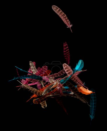 Photo for Many color Feather fly fall in Air over black background isolated. Puffy Fluffy soft feathers as purity smooth like dream floating dove in sky. Angle flying from heaven, photo motion studio lighting - Royalty Free Image