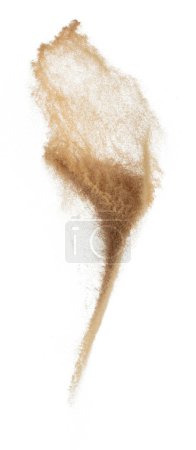 Photo for Sand flying explosion, Golden grain wave explode. Abstract cloud fly. Yellow colored sand splash throwing in Air. White background Isolated high speed shutter, throwing freeze stop motion - Royalty Free Image
