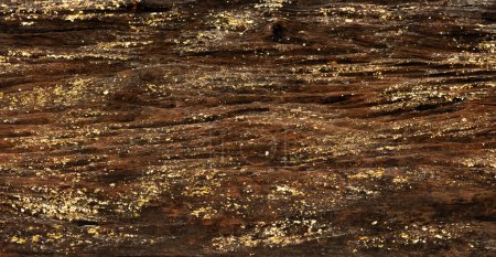 Téléchargez les photos : Vieux bois avec minerai d'or matériau minéral en pierre de bois fossile. Feuille d'or décorer sur fond en bois comme papier peint. - en image libre de droit