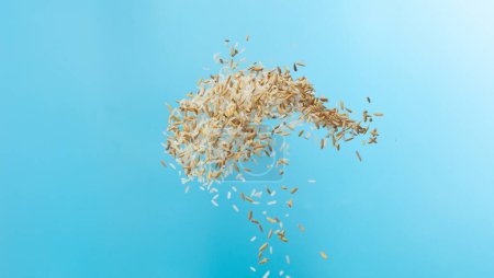 Photo for Paddy white Rice grain fly in mid air. Yellow Golden Paddy Rice falling scatter, explosion float in shape form line group. Blue sky background isolated freeze motion - Royalty Free Image