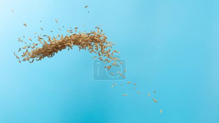 Photo for Paddy Rice grain fly in mid air. Yellow Golden Paddy Rice falling scatter, explosion float in shape form line group. Blue sky background isolated freeze motion - Royalty Free Image