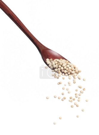 Photo for White Pepper seeds fall down pour in wooden spoon, white Pepper float explode, abstract cloud fly. Peppercorn splash throwing in Air. White background Isolated high speed shutter, freeze motion - Royalty Free Image