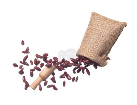 Téléchargez les photos : Red Bean flying explosion in sack bag, red grain beans explode abstract cloud fly. Beautiful complete seed pea bean bag splash in air, food object design. White background isolated freeze shot - en image libre de droit
