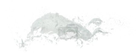 Photo for Salt mix flying explosion, great big white salts flower explode abstract cloud fly. Salt rock splash in air, seasoning element design. White background isolated high speed freeze motion - Royalty Free Image