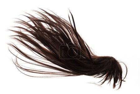 Photo for Wind blow Long straight Wig hair style fly fall. Brown woman wig hair float in mid air. Straight brown black wig hair wind blow cloud throw. White background isolated detail motion - Royalty Free Image