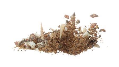 Photo for Seashell sand fall splashing in air. sea shell explosion flying, sand abstract cloud fly. Many Seashell scatter in many group. White background isolated high speed shutter freeze motion - Royalty Free Image