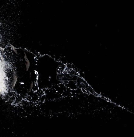 Photo for Shape form droplet of Water splashes into drop water attack fluttering in air and stop motion freeze shot. Splash Water for texture graphic resource elements, black background isolated - Royalty Free Image