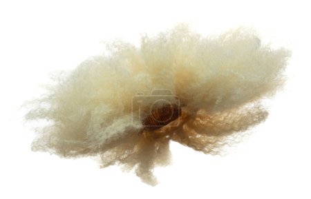 Foto de Afro peluca estilo caída de la mosca explosión. Rubia dorada afro mujer peluca pelo flotar en el aire. Afro peluca pelo extensión viento soplo nube lanzar. Fondo blanco aislado movimiento de congelación de alta velocidad - Imagen libre de derechos