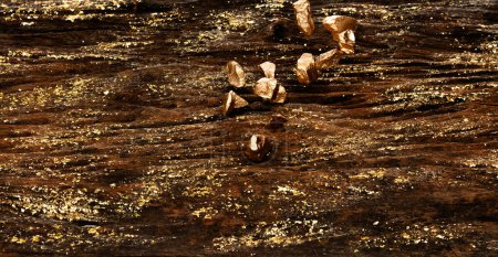 Téléchargez les photos : Vieux bois avec minerai d'or matériau minéral en pierre de bois fossile. Feuille d'or décorer sur fond en bois comme papier peint avec pépite d'or - en image libre de droit