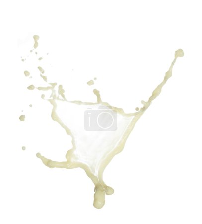 Photo for Tofu Soybean soymilk pour fall down in line shape form. Soybean milk from tofu spill splash in droplet as paint color. White background isolated high speed shutter freeze motion - Royalty Free Image