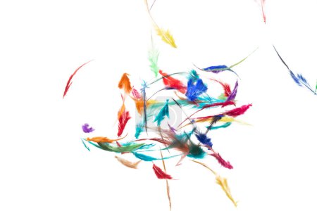 Foto de Muchas plumas de color vuelan caen hermoso patrón espiral en el aire sobre fondo negro aislado. Plumas suaves esponjosas como paloma flotante de ensueño en el cielo. Las plumas coloridas son tan ligeras y delicadas - Imagen libre de derechos