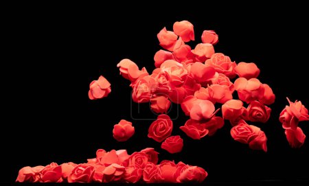 Photo for Red small Rose Flower explosion up. Many Styrofoam Roses present Love romantic wedding valentine. Artificial foam Red rose fly in air. White background isolated selective focus blur - Royalty Free Image