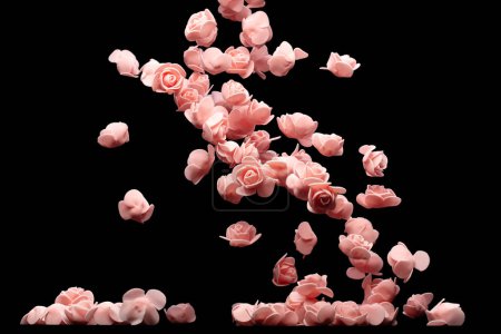 Photo for Pink small Rose Flower explosion up. Many Styrofoam Roses present Love romantic wedding valentine. Artificial foam pink rose fly in air. Black background isolated selective focus blur - Royalty Free Image