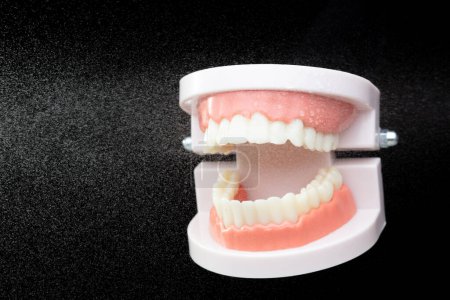 Téléchargez les photos : Dent artificielle Mâchoire en plastique propre avec jet d'eau. Les dents du modèle de mâchoire dentaire pulvérisent avec de l'eau pour nettoyer avant l'opération. Fond noir isolé. - en image libre de droit