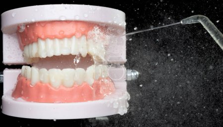 Photo for Artificial Tooth Plastic jaw clean with water spray jet. Teeth of dental jaw model spray with water to clean up on daily brush. Black background isolated - Royalty Free Image
