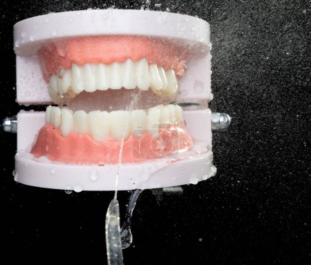 Téléchargez les photos : Dent artificielle Mâchoire en plastique propre avec jet d'eau. Les dents du modèle de mâchoire dentaire pulvérisent avec de l'eau pour nettoyer sur la brosse quotidienne. Fond noir isolé - en image libre de droit