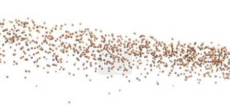 Foto de Coriander seed fall down in group, brown coriander seed float explode, abstract cloud fly. Dried coriander seeds splash throwing in Air. White background Isolated high speed shutter, freeze motion - Imagen libre de derechos