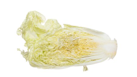 Téléchargez les photos : Chinese Cabbage fly fall in mid air, green fresh vegetable chinese cabbage cut chop slice half. Organic fresh vegetable with eaten leaf of chinese cabbage, close up texture. White background isolated - en image libre de droit