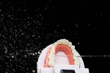 Téléchargez les photos : Dent artificielle Mâchoire en plastique propre avec jet d'eau. Les dents du modèle de mâchoire dentaire pulvérisent avec de l'eau pour nettoyer avant l'opération. Fond noir isolé. - en image libre de droit