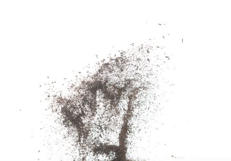 Photo for Black dried leave Tea explode. Small Fine size tea leaf flying explosion, Abstract cloud fly. Brown colored Teas splash throwing in Air. White background Isolated high speed shutter, throwing freeze - Royalty Free Image
