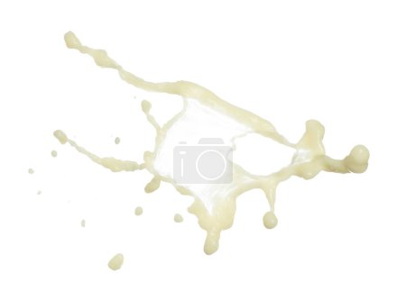Tofu Soybean soymilk pour fall down in line shape form. Soybean milk from tofu spill splash in droplet as paint color. White background isolated high speed shutter freeze motion