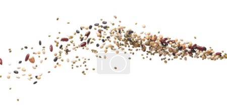 Mix beans fall down explosion, several kind bean float explode. Dried mixed white green red soy black peanut beans splash throwing in Air. White background Isolated high speed shutter, freeze 