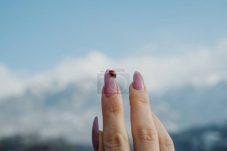 A ladybug sitting on the finger of a woman's hand against the background of mountains and sky