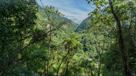 Téléchargez les photos : Routes incroyables entourées de verdure au milieu de la nature dans les montagnes de l'Équateur - en image libre de droit