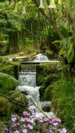 Téléchargez les photos : Image verticale d'un cadre naturel merveilleux d'une beauté incroyable dans les Andes équatoriennes, pleine de végétation et d'eau - en image libre de droit