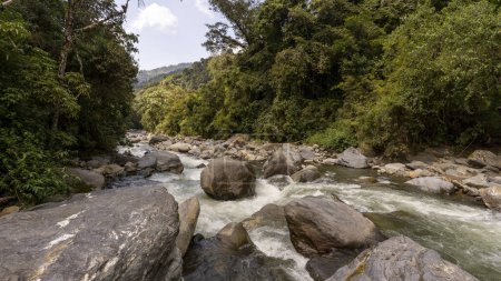 Téléchargez les photos : Image of a river with plenty of water, large rocks and vegetation - en image libre de droit