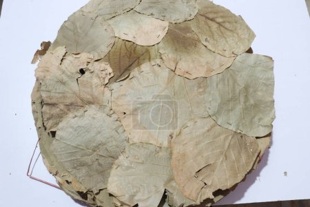 Foto de Vistaraku (Un plato de comida india) hecho con hojas secas anchas - Imagen libre de derechos