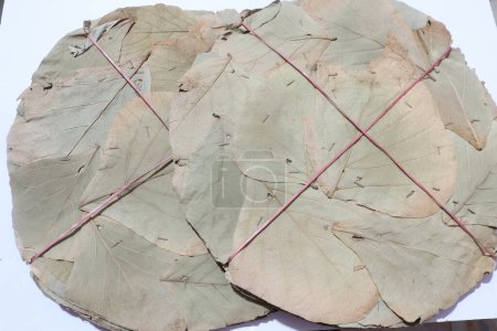 Téléchargez les photos : Vistaraku (Une assiette indienne) faite avec de larges feuilles séchées - en image libre de droit
