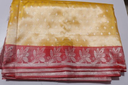 Traditional Handmade Work Saree Isolated on White Background