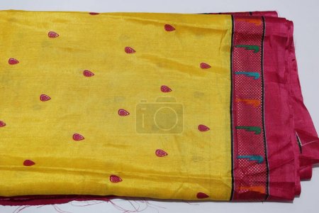 Traditional female Purple Colour Handmade Work Saree Isolated on White Background