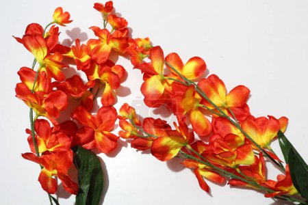 Photo for Colorful Orchids Artificial Flowers for Home Decoration Isolated on White Background - Royalty Free Image