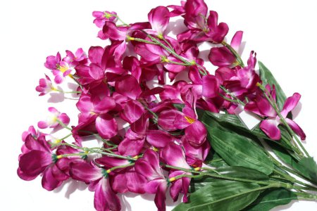 Téléchargez les photos : Fleurs artificielles d'orchidées colorées pour la décoration à la maison isolées sur fond blanc - en image libre de droit